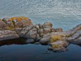 IMG 7966