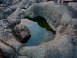 IMG 7978