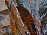 IMG 7997