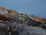 IMG 8026