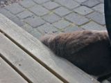 IMG 8061