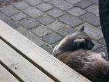 IMG 8062