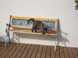 IMG 8068