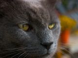 IMG 8069
