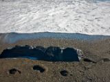 IMG 8099
