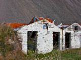 IMG 8170