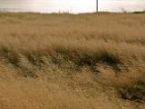IMG 8243