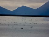 IMG 8306