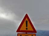 IMG 8358