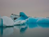 IMG 8397