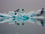 IMG 8438