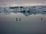 IMG 8443