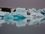 IMG 8444