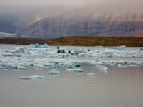 IMG 8465