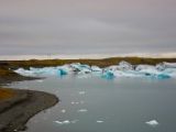 IMG 8471