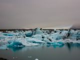 IMG 8472