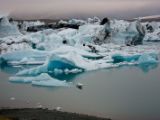 IMG 8474