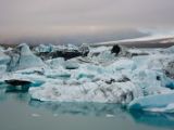 IMG 8477