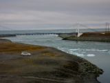 IMG 8479