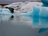 IMG 8485