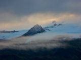 IMG 8590
