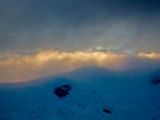 IMG 8599