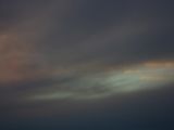 IMG 8619
