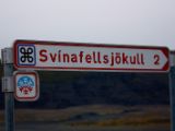 IMG 8636