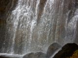 IMG 8687