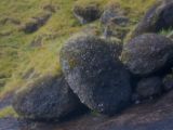 IMG 8693
