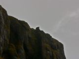IMG 8694