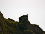 IMG 8696