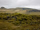IMG 8719