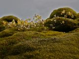 IMG 8728