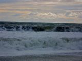 IMG 8754