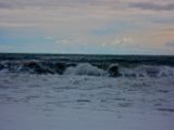 IMG 8755