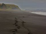 IMG 8781