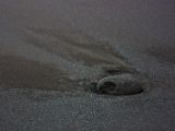 IMG 8790