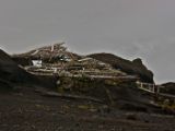 IMG 8810