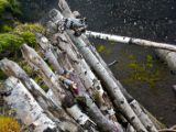 IMG 8811