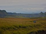 IMG 8842