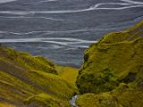 IMG 8845