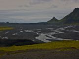 IMG 8856