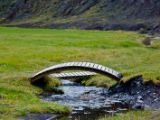 IMG 8884