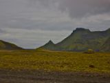 IMG 8908