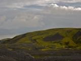 IMG 8917