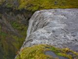 IMG 8969