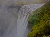IMG 8971