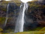 IMG 8974