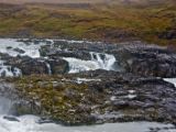 IMG 8987